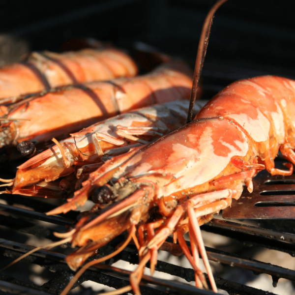Langoustines (Mozambique)